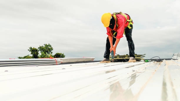 Best Roof Leak Repair  in Arthur, IL